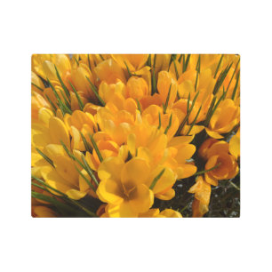 Impresión En Metal Aroma de croco amarillo - Flores amarillas doradas