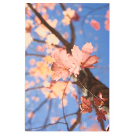 Impresión En Metal Arriba, arriba en los árboles