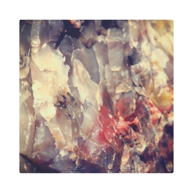 Impresión En Metal Asombroso cuarzo en madera Petrificada (Anverso)