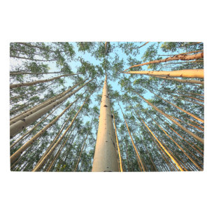 Impresión En Metal Aspen Trunks And Leaves, Yukón