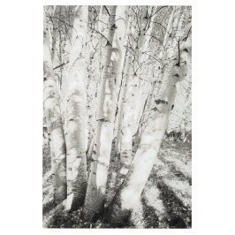 Impresión En Metal Aspens bw