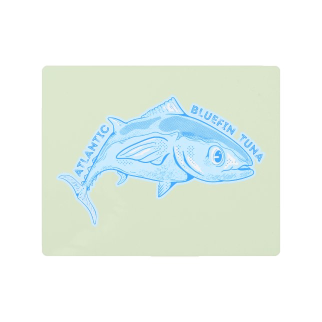 Impresión En Metal Atún rojo del Atlántico (Anverso)