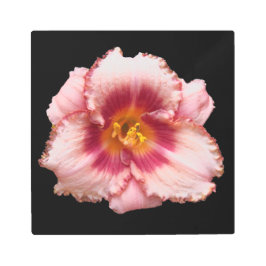 Impresión En Metal Auge diurno rosado en flor negra