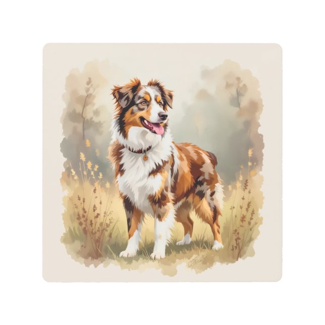 Impresión En Metal Australian Shepherd Dog Red Merle Aussie (Anverso)