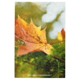 Impresión En Metal Autumn