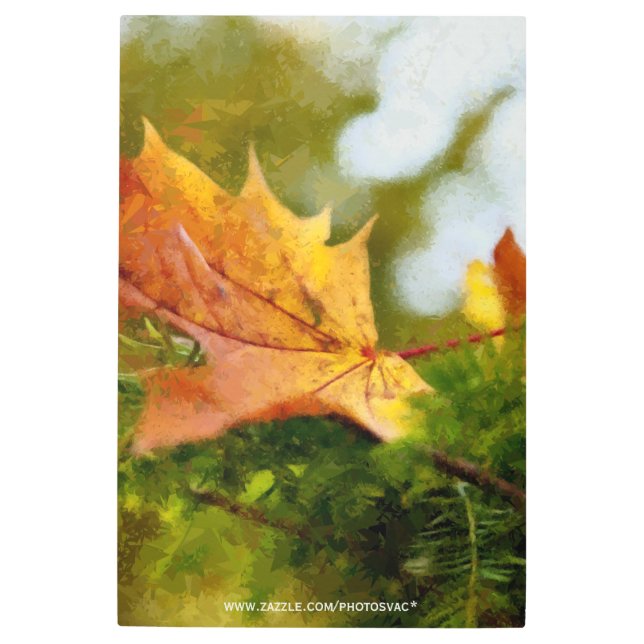 Impresión En Metal Autumn (Anverso)