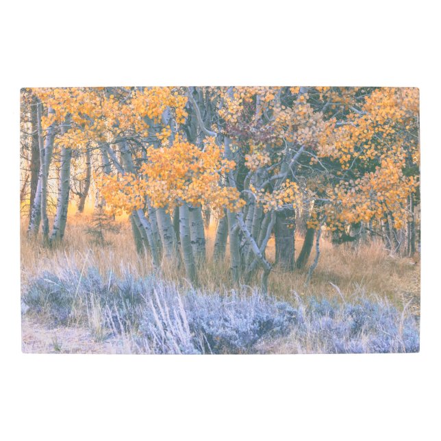Impresión En Metal Autumn Aspens (Anverso)