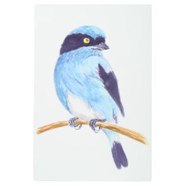 Impresión En Metal Ave azul