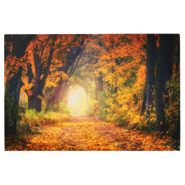 Impresión En Metal Avenida del Otoño