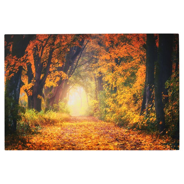 Impresión En Metal Avenida del Otoño (Anverso)