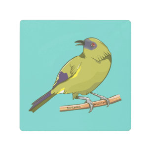 Impresión En Metal Aves de Bellbird Korimako NZ