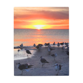 Impresión En Metal Aves en la orilla