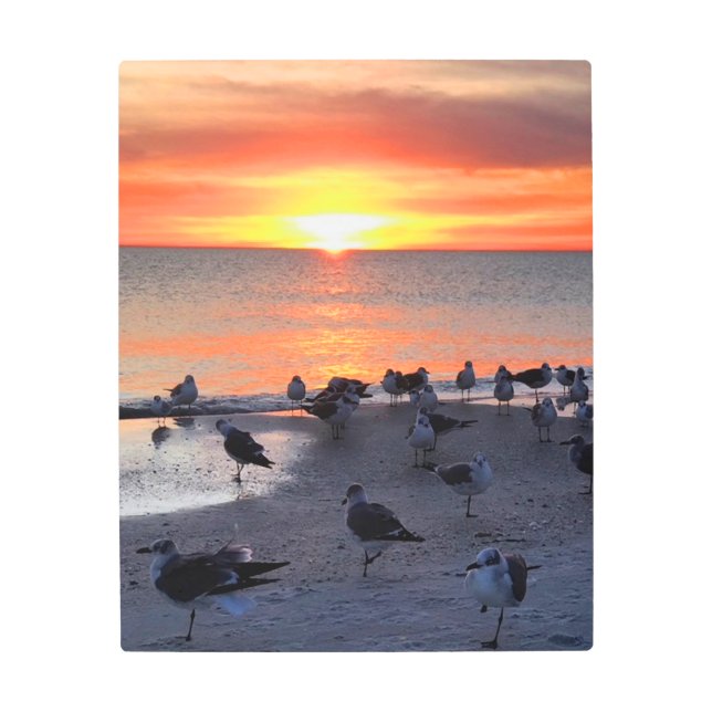 Impresión En Metal Aves en la orilla (Anverso)