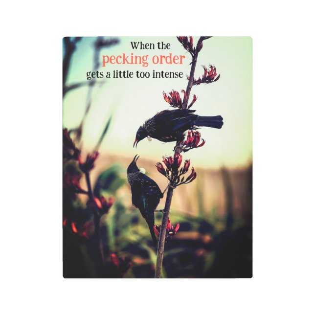 Impresión En Metal Aves tui peleando en el lino (Anverso)