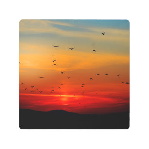 Impresión En Metal Aves vuelan al atardecer