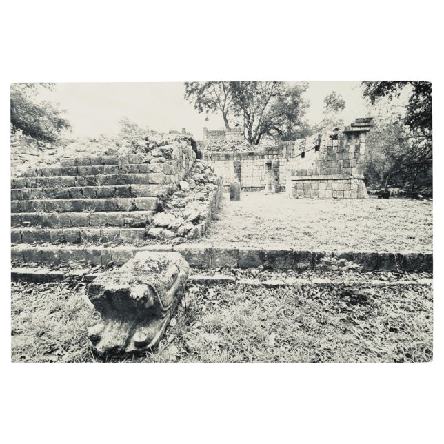 Impresión En Metal aWorld2Celebrate: Escultura de cabeza serpenteante (Anverso)