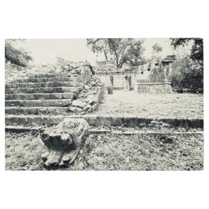 Impresión En Metal aWorld2Celebrate: Escultura de cabeza serpenteante