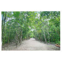 AWorld2Celebrate: Sacbé - La autopista maya