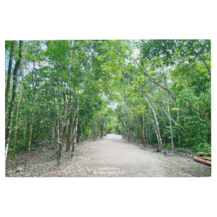 Impresión En Metal AWorld2Celebrate: Sacbé - La autopista maya