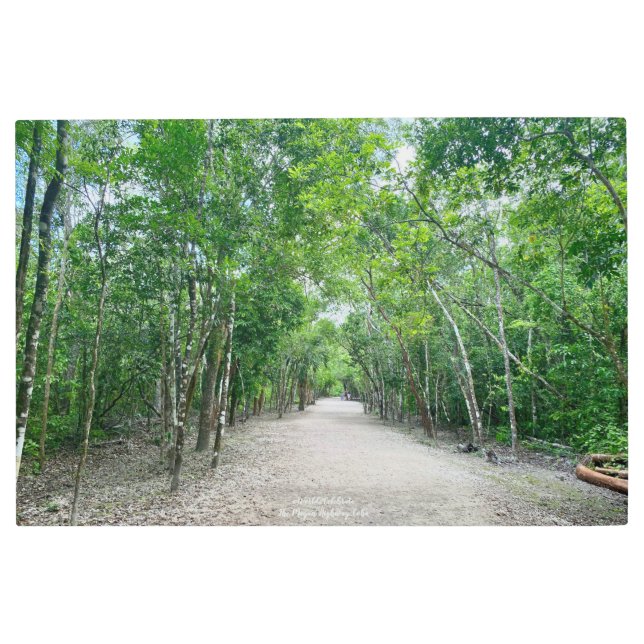 Impresión En Metal AWorld2Celebrate: Sacbé - La autopista maya (Anverso)