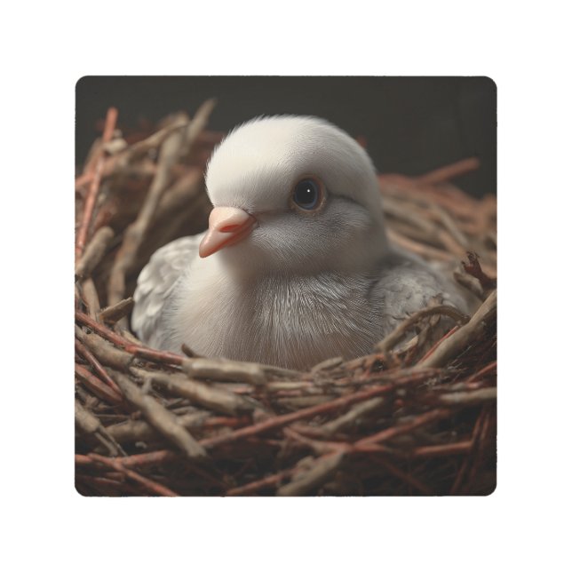 Impresión En Metal Baby Dove (Anverso)