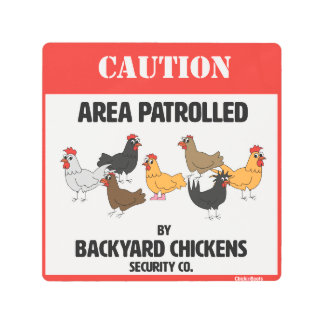 Impresión En Metal Backyard Chickens Security Company