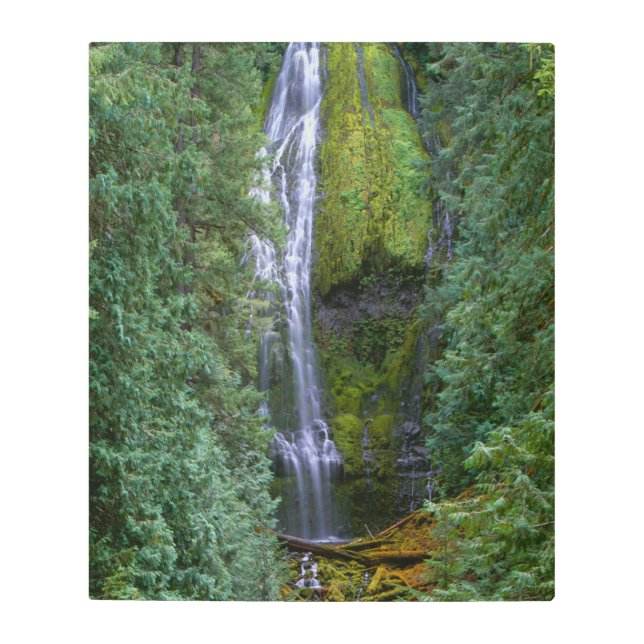 Impresión En Metal Baja del proxy | Bosque nacional Willamette (Anverso)