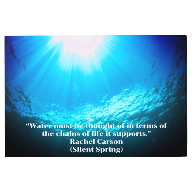 Impresión En Metal Bajo el mar (Anverso)