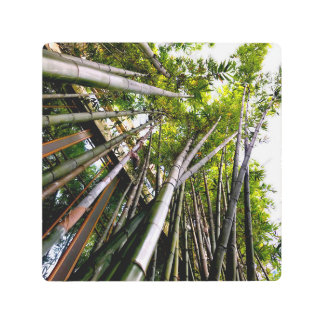 IMPRESIÓN EN METAL BAMBOO ART