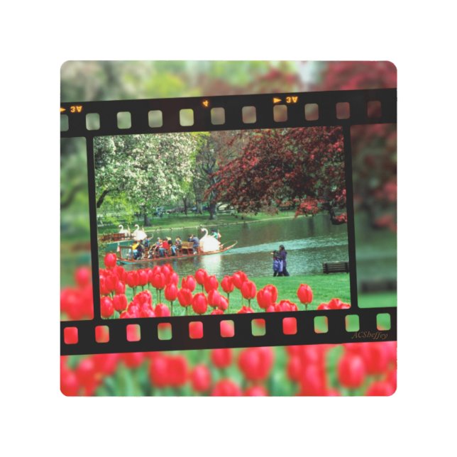 Impresión En Metal Barcos de cisne y tulipanes rojos (Anverso)