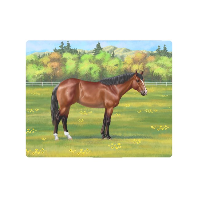 Impresión En Metal Barrio de Brown (Anverso)