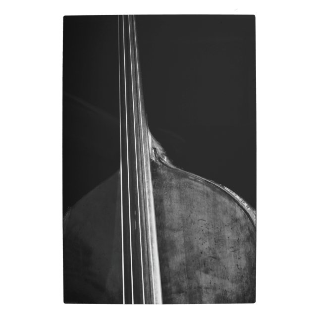 Impresión En Metal Bass 5 20x30 (50x75cm) wamecnm (Anverso)