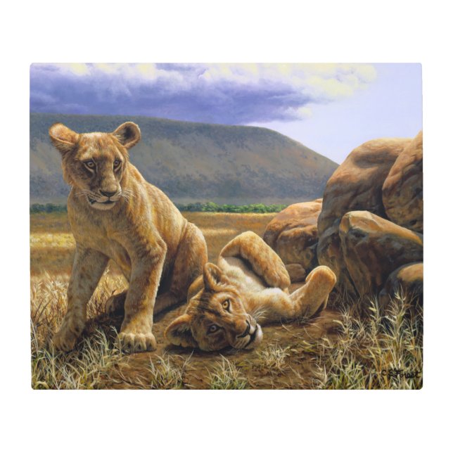 Impresión En Metal Bebé lindo Lion Cubs Africano (Anverso)