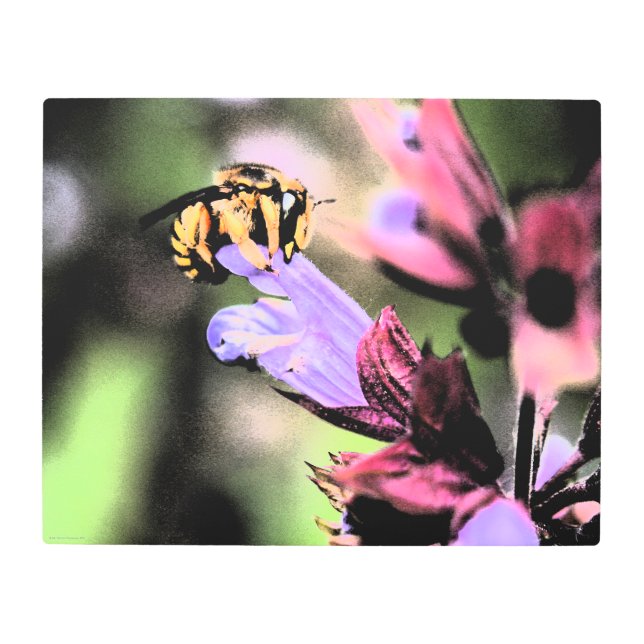 Impresión En Metal Bee and Flower 20x16 (50x40cm) wamea (Anverso)