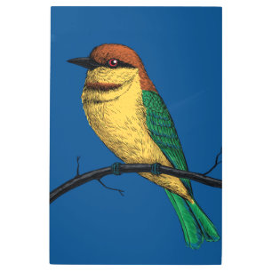 Impresión En Metal Bee eater