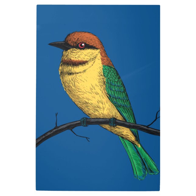 Impresión En Metal Bee eater (Anverso)