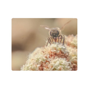 Impresión En Metal Bee Happy