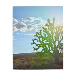 Impresión En Metal Belleza del desierto