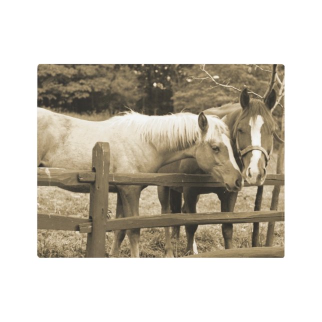 Impresión En Metal Best Friends (Anverso)