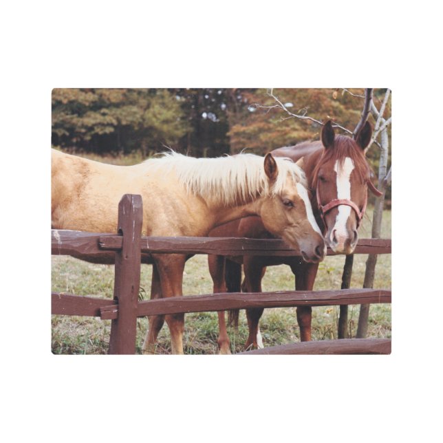 Impresión En Metal Best Friends (Anverso)