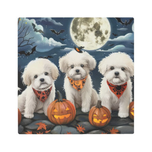 Impresión En Metal Bichon Frise Halloween Spooky
