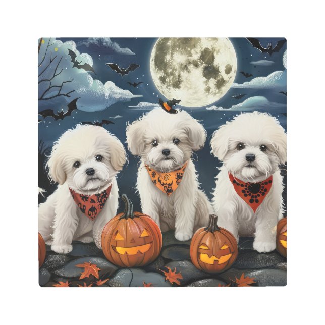 Impresión En Metal Bichon Frise Halloween Spooky (Anverso)