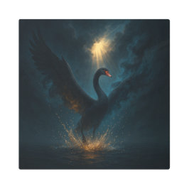 Impresión En Metal Black Swan – Grace in Shadows Art