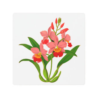 Impresión En Metal Bloom de orquídeas salvajes