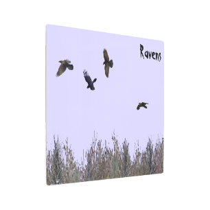 Impresión En Metal Bloque de Ravens