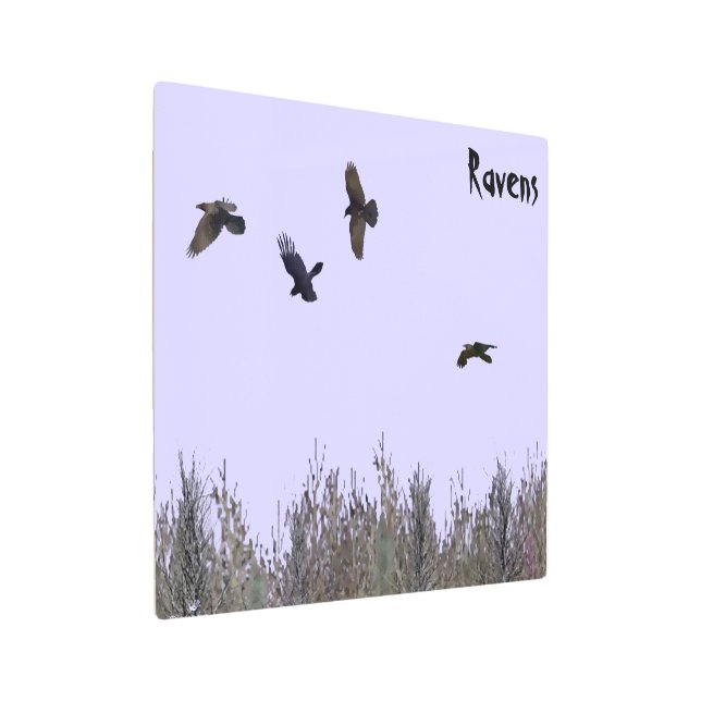 Impresión En Metal Bloque de Ravens (Angulado)