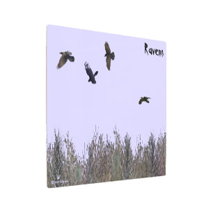 Impresión En Metal Bloque de Ravens