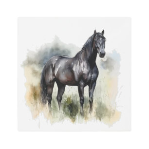 Impresión En Metal bonito semental negro pintado en acuarela