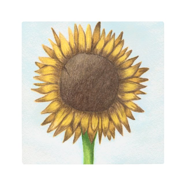 Impresión En Metal Bonito Sunflower (Anverso)