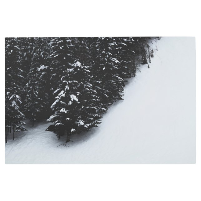 Impresión En Metal Bosque de abetos negros y blancos y nieve (Anverso)